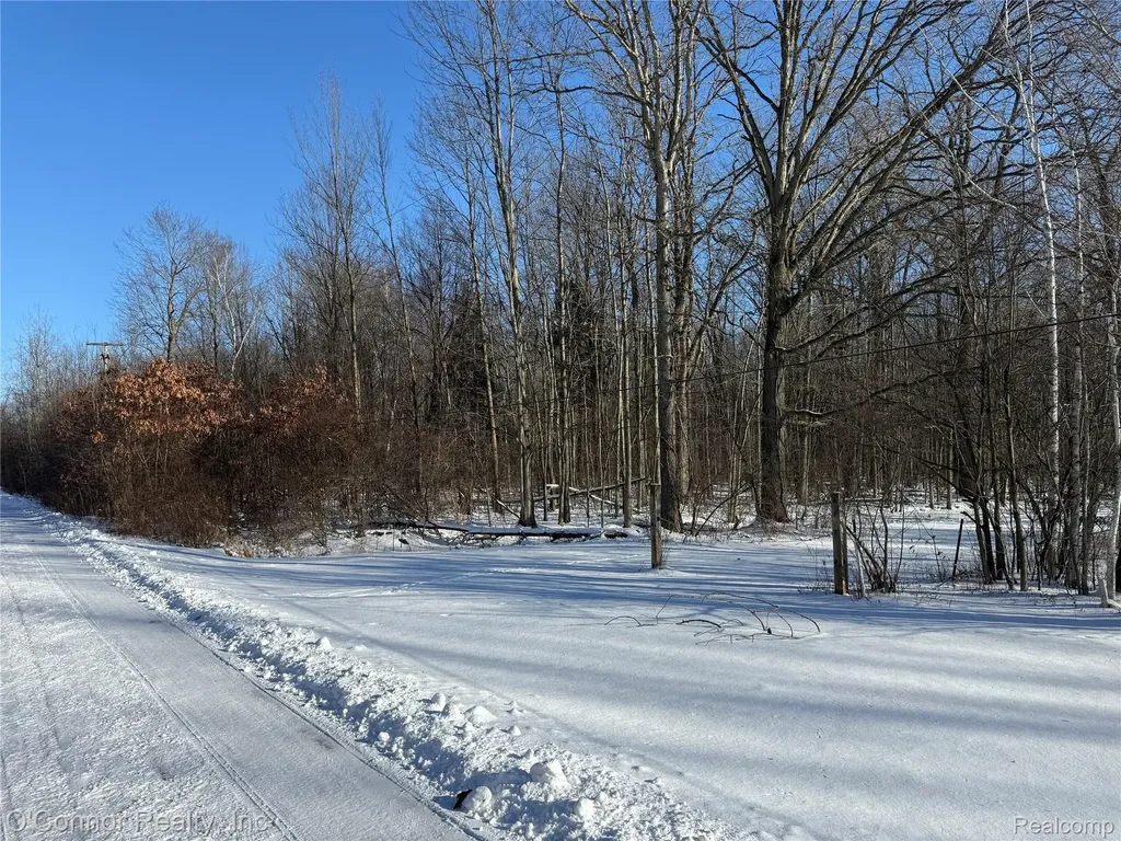 00 Smiths Creek Road Smiths Creek Road Kimball Township MI 48074