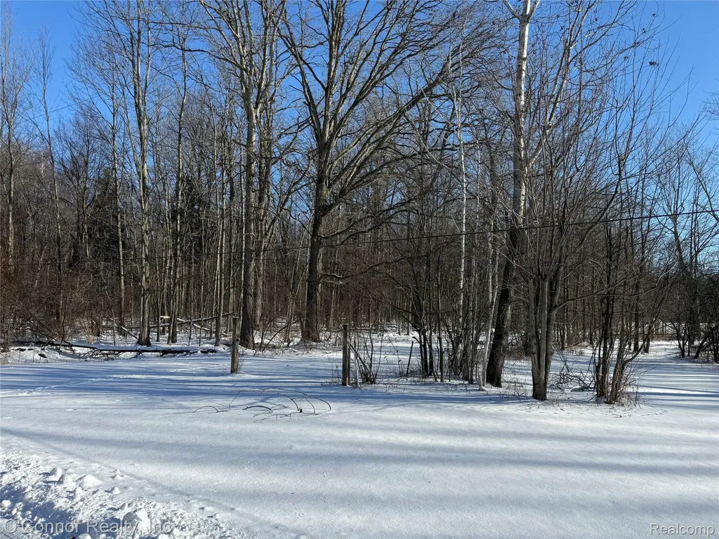 00 Smiths Creek Road Smiths Creek Road Kimball Township MI 48074