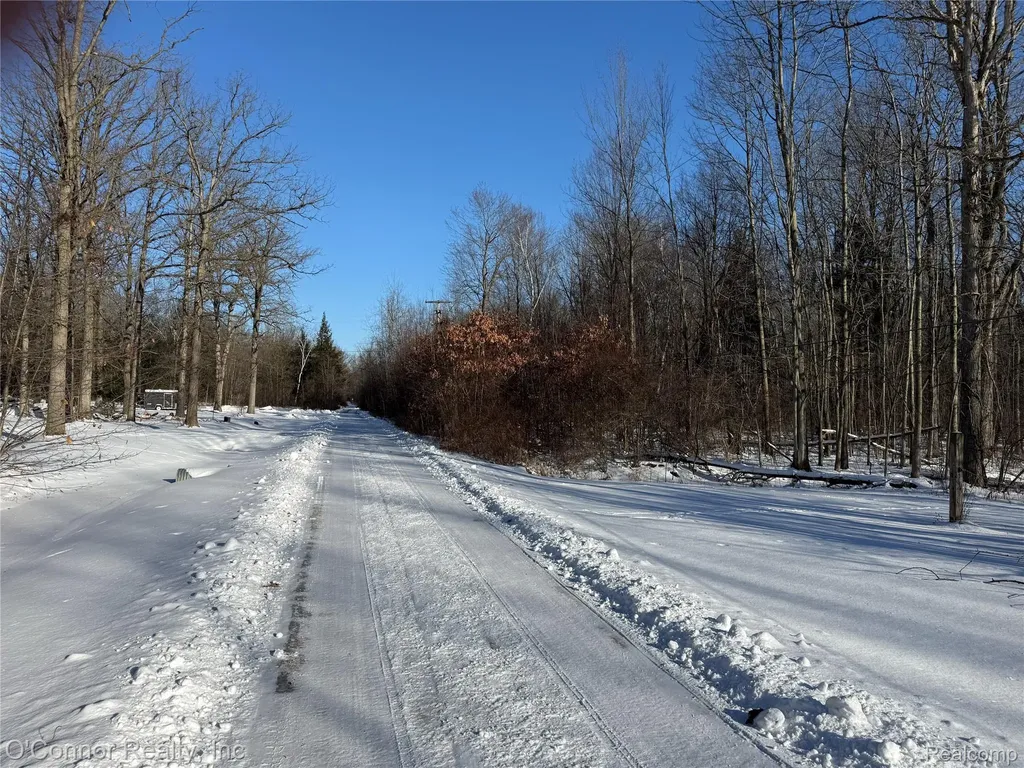 00 Smiths Creek Road Smiths Creek Road Kimball Township MI 48074