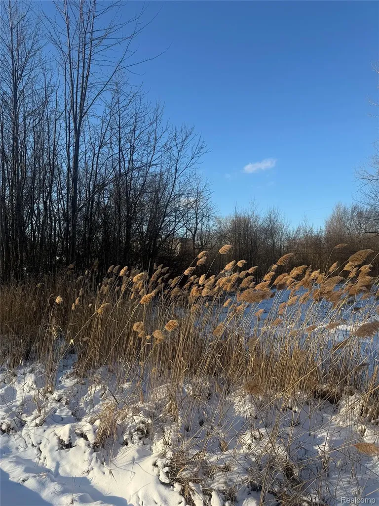 Sublot 41 Charles Clinton Charter Township MI 48035