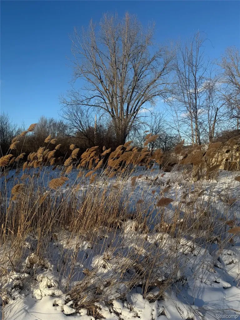 Sublot 41 Charles Clinton Charter Township MI 48035