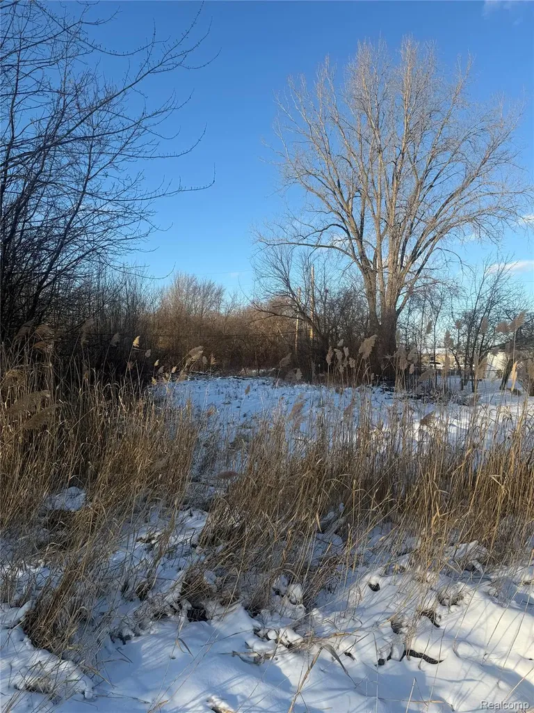 Sublot 41 Charles Clinton Charter Township MI 48035