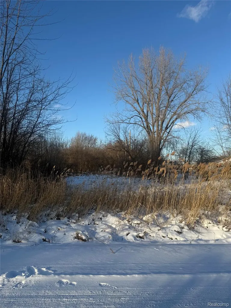 Sublot 41 Charles Clinton Charter Township MI 48035