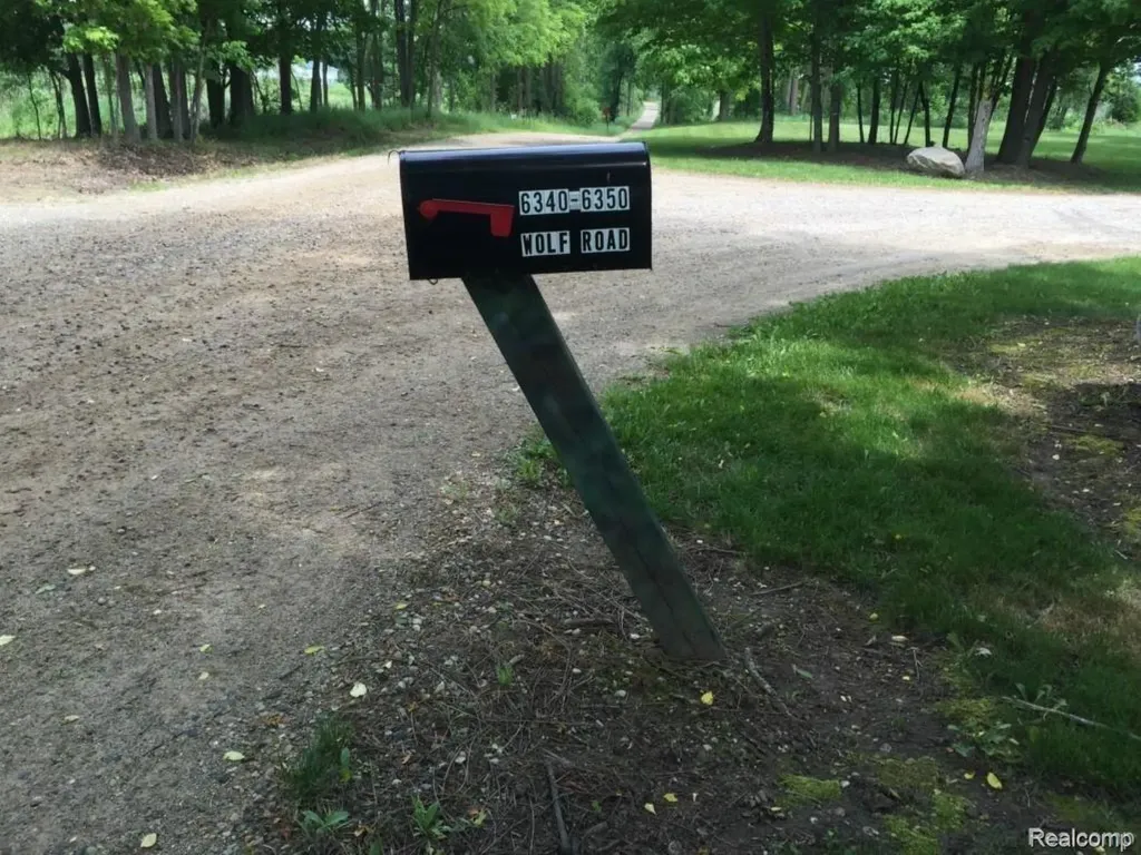 6350 Wolf Road Burnside Township MI 48416