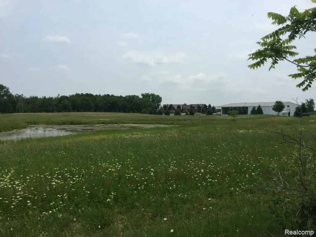 6350 Wolf Road Burnside Township MI 48416