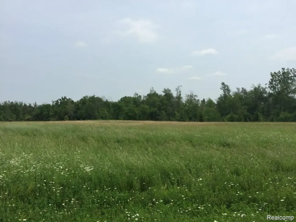 6350 Wolf Road Burnside Township MI 48416