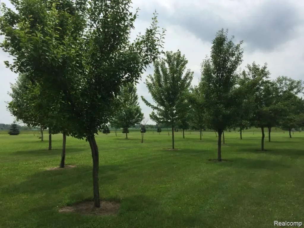 6350 Wolf Road Burnside Township MI 48416