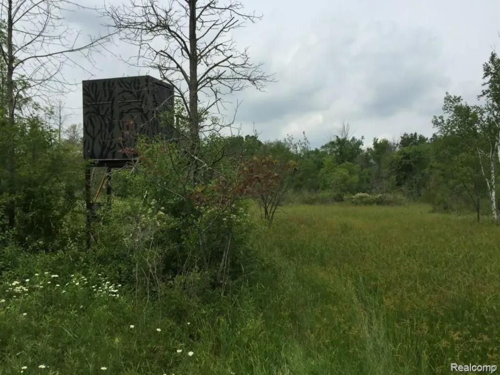 6350 Wolf Road Burnside Township MI 48416