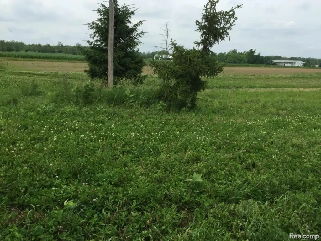 6350 Wolf Road Burnside Township MI 48416