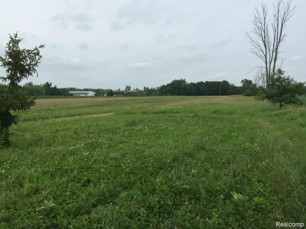 6350 Wolf Road Burnside Township MI 48416