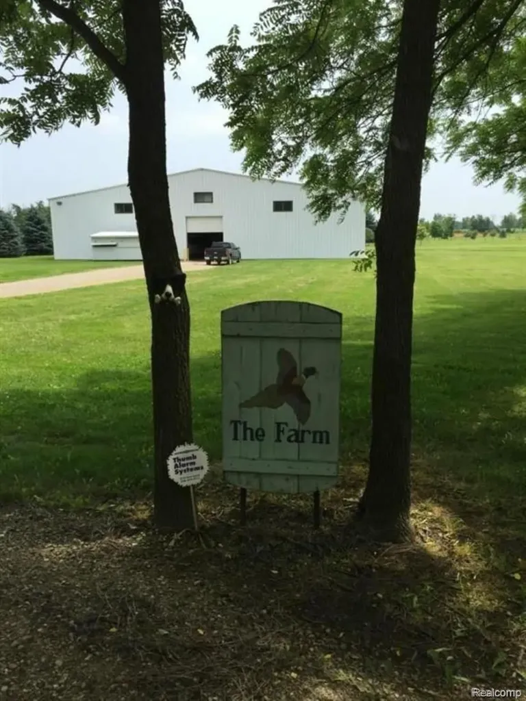 6350 Wolf Road Burnside Township MI 48416