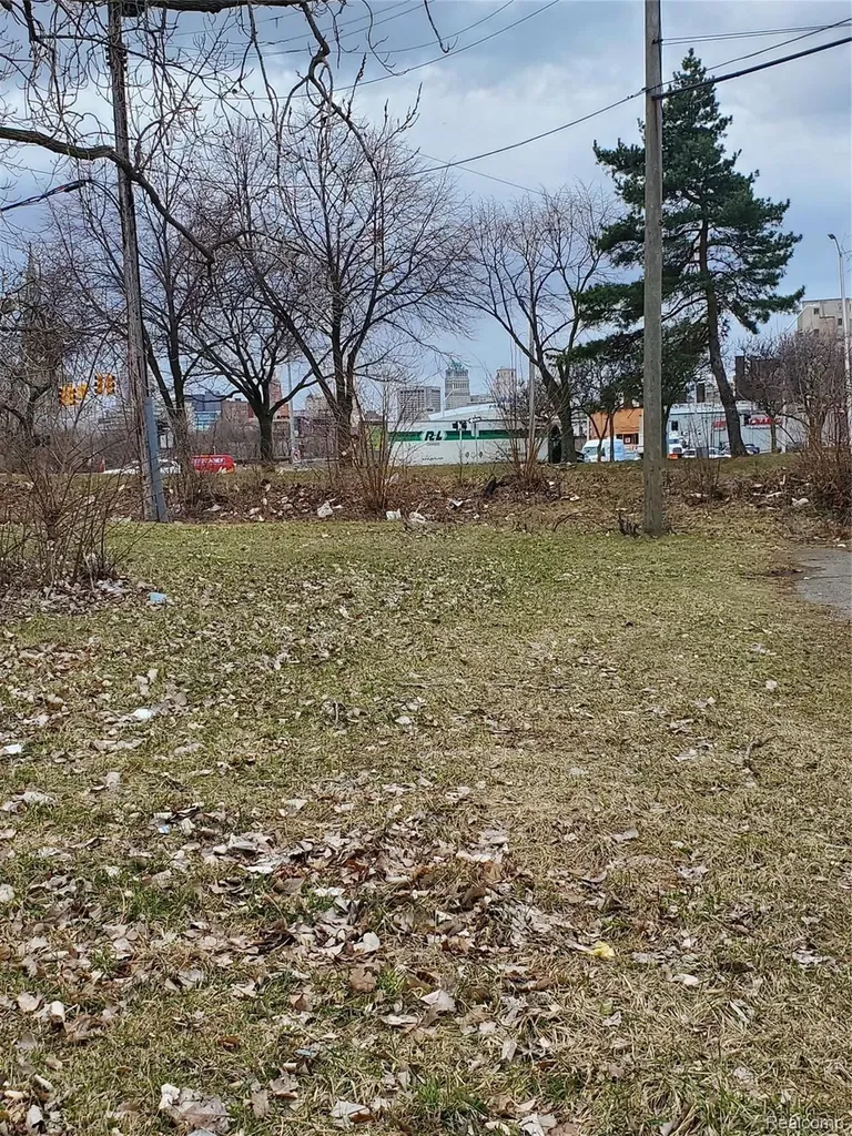 2527 Dubois Detroit City MI 48207