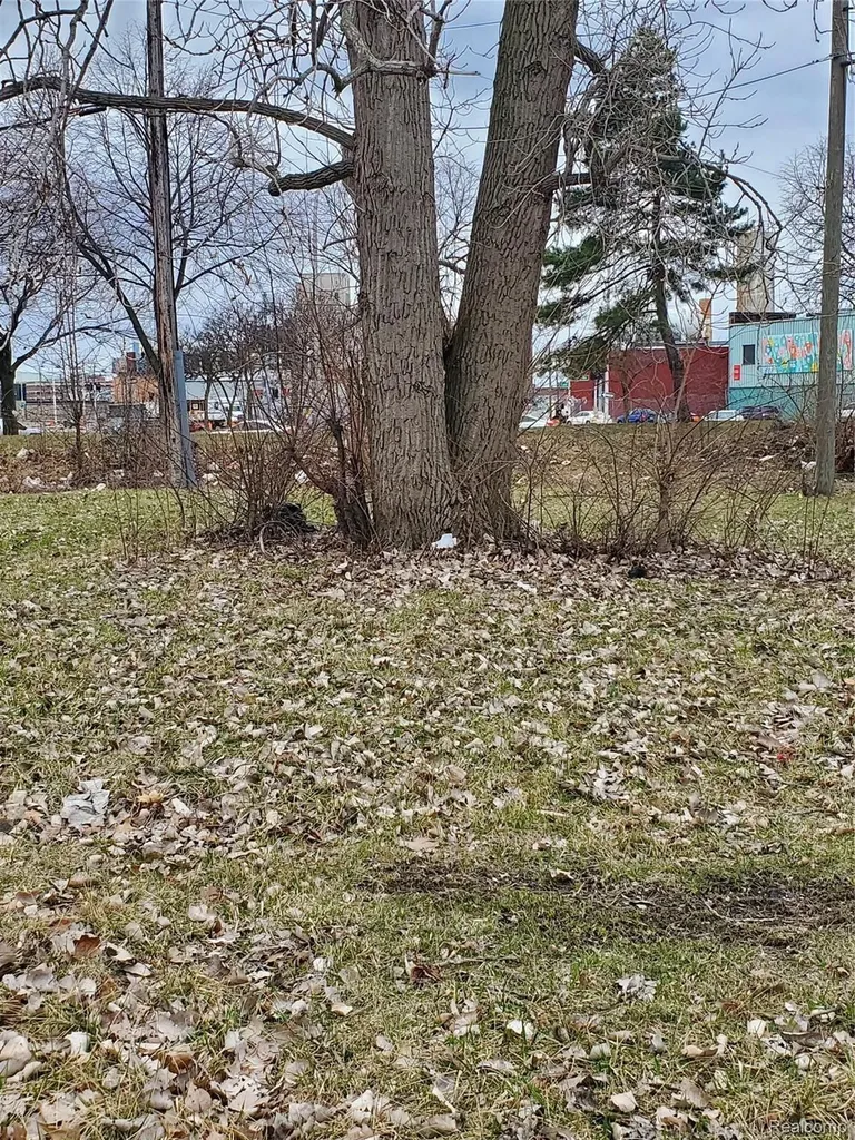 2527 Dubois Detroit City MI 48207