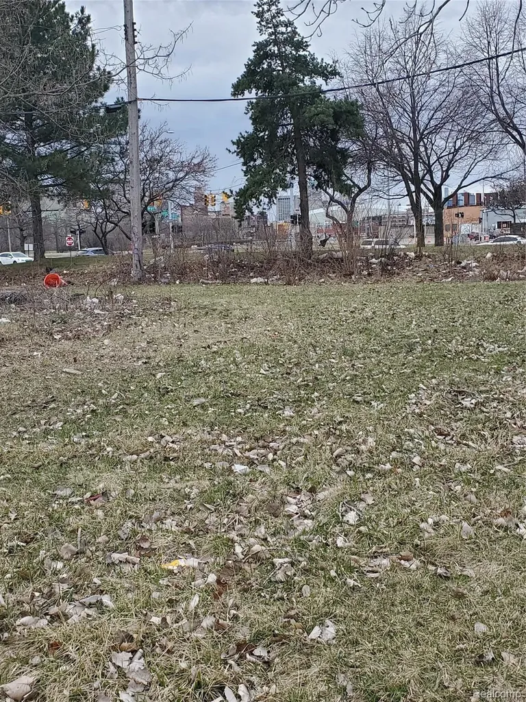 2527 Dubois Detroit City MI 48207