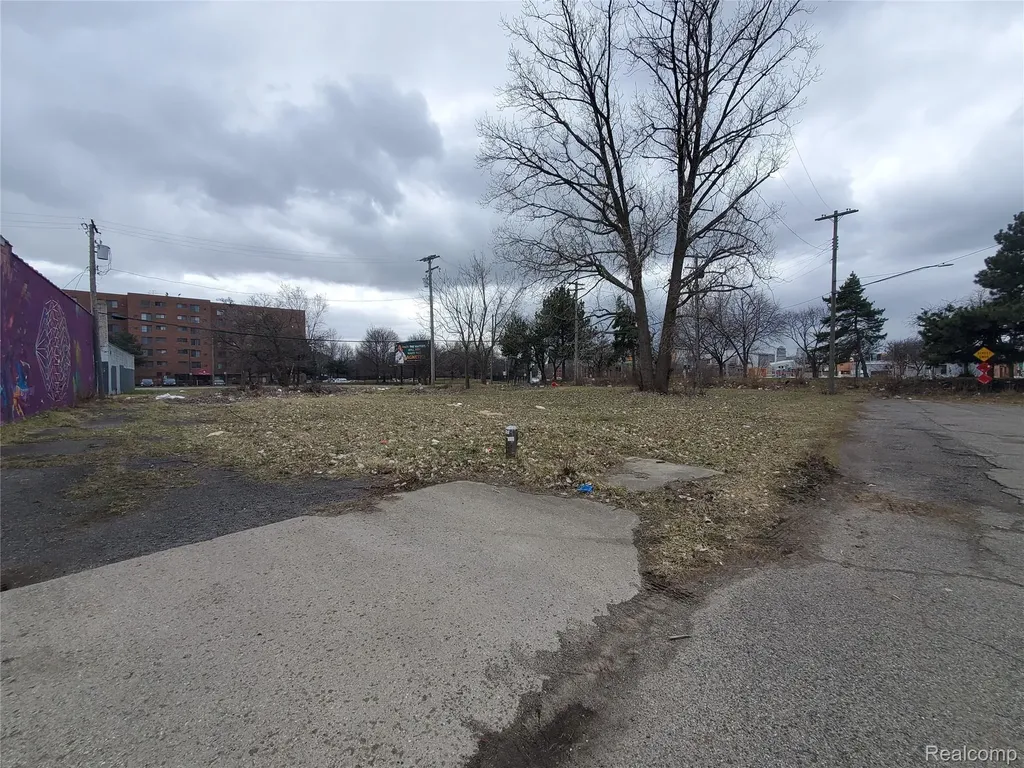 2527 Dubois Detroit City MI 48207