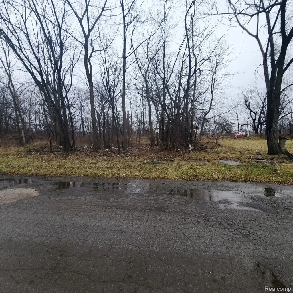 2242 Saint Joseph Street Detroit City MI 48207