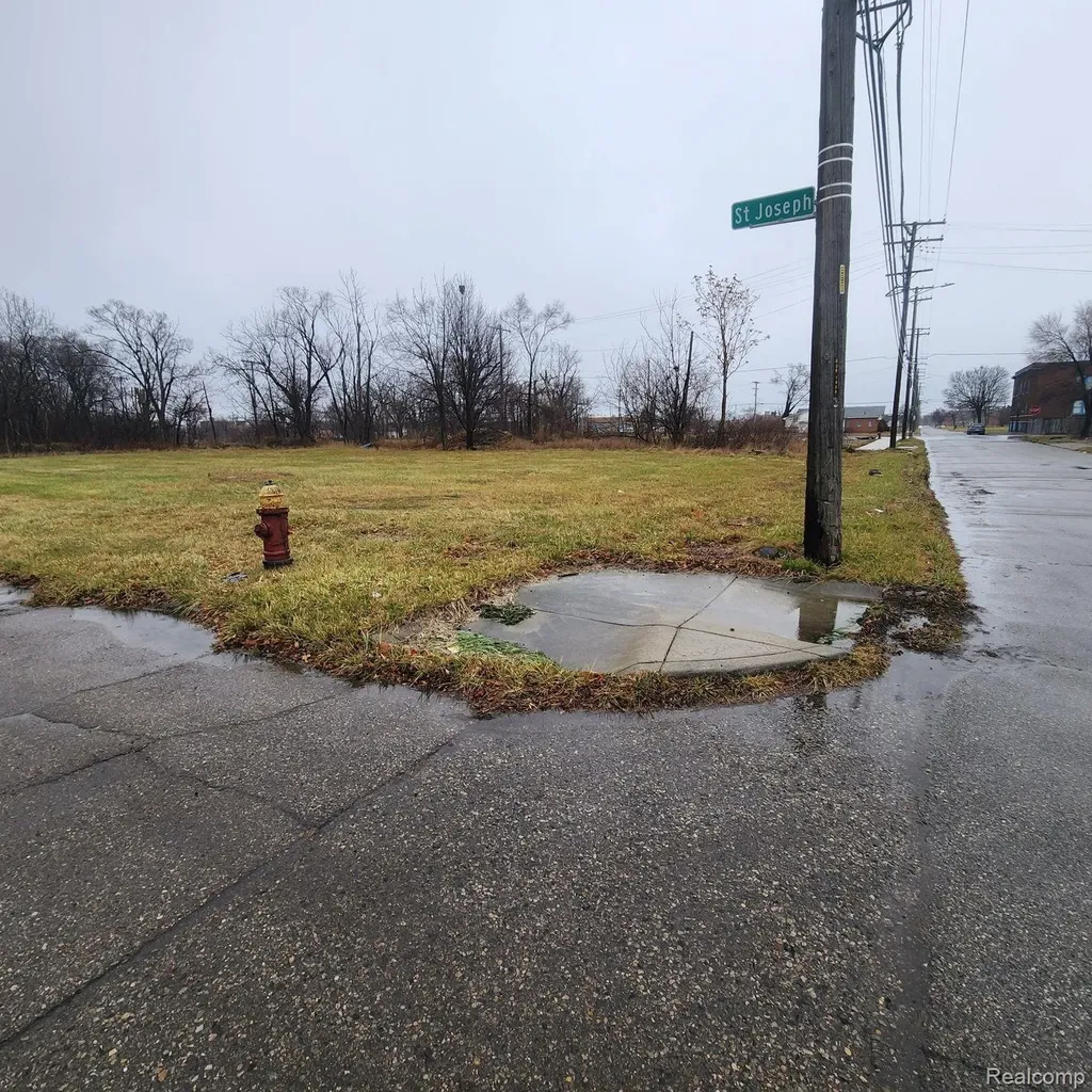 2206 Saint Joseph Street Detroit City MI 48207