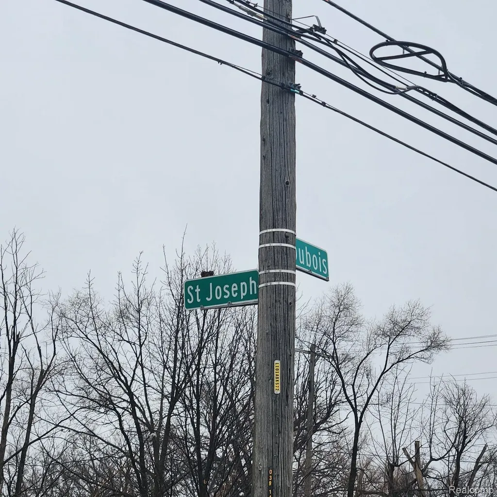2193 Saint Joseph Street Detroit City MI 48207