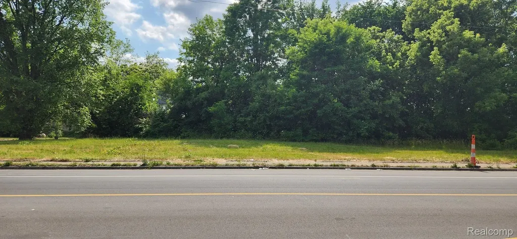 2705 Mount Elliott Street Detroit City MI 48207