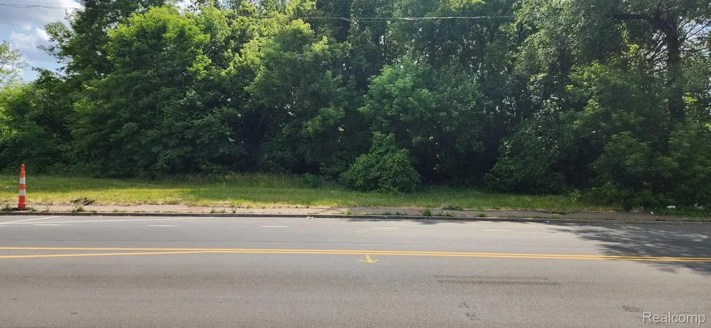 2705 Mount Elliott Street Detroit City MI 48207