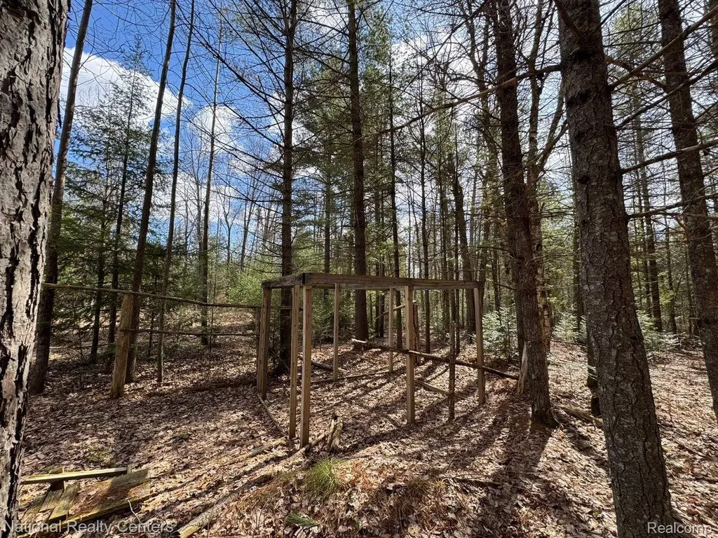 4233 Hardacre Trail Roscommon Township MI 48629