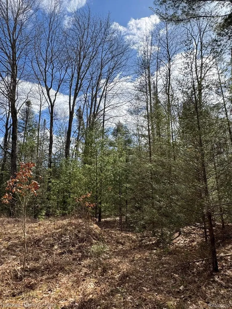 4233 Hardacre Trail Roscommon Township MI 48629