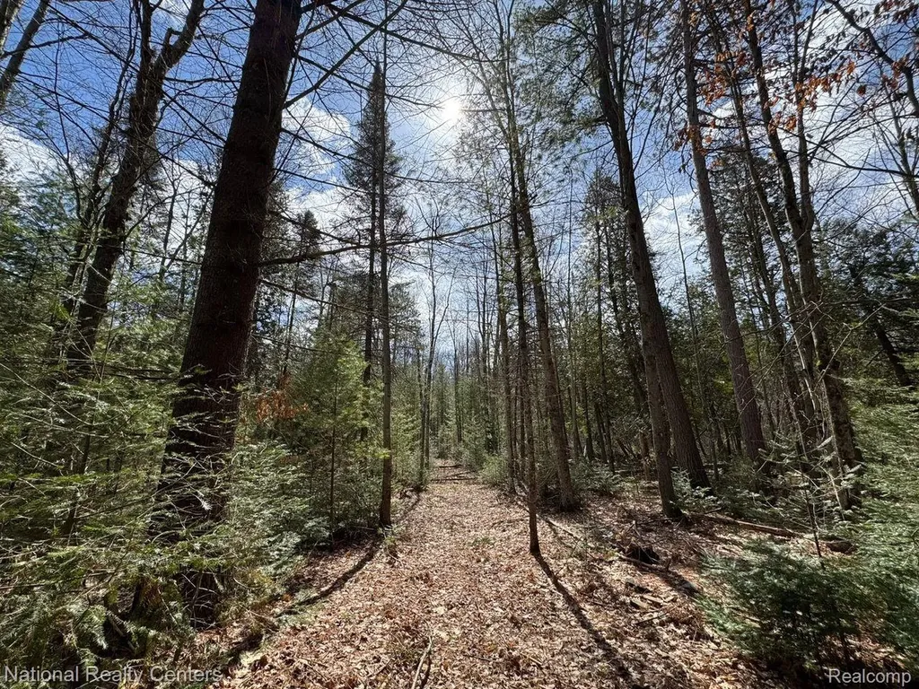 4233 Hardacre Trail Roscommon Township MI 48629