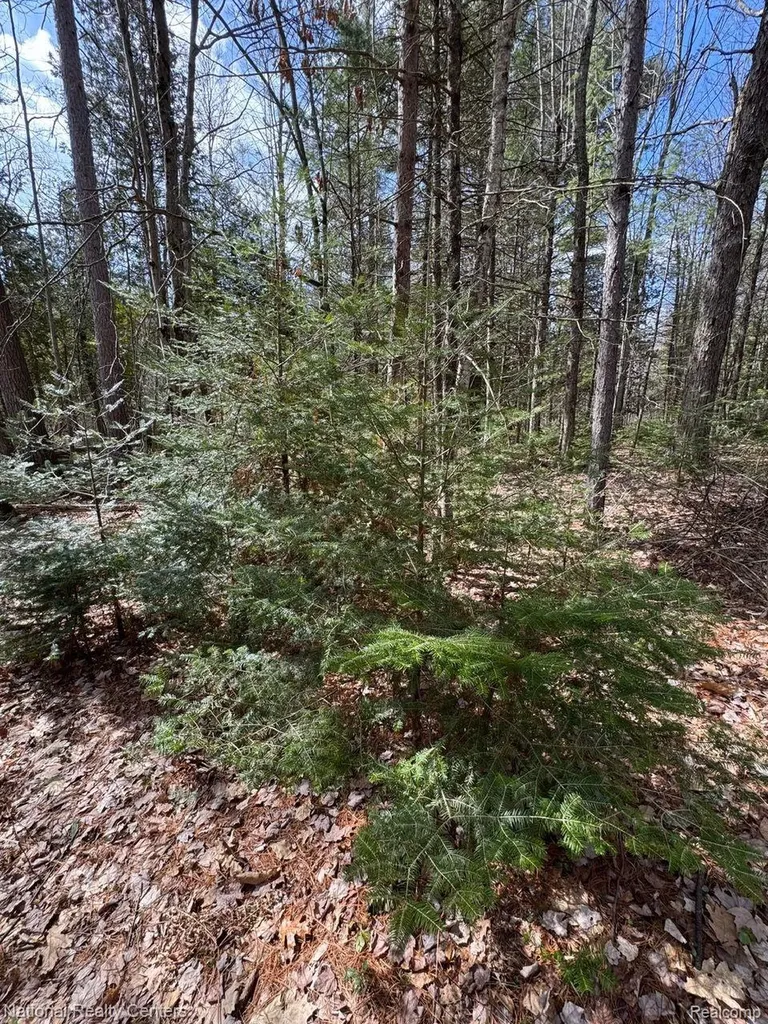 4233 Hardacre Trail Roscommon Township MI 48629