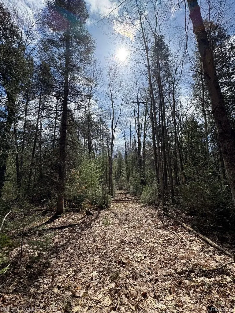 4233 Hardacre Trail Roscommon Township MI 48629