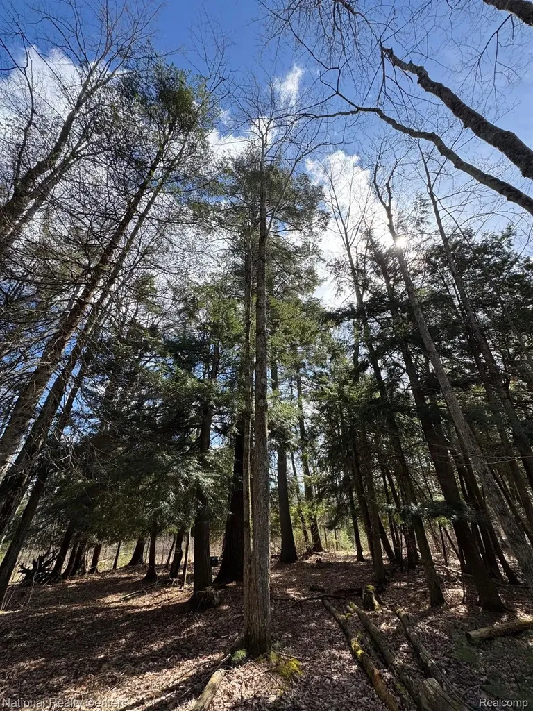 4233 Hardacre Trail Roscommon Township MI 48629