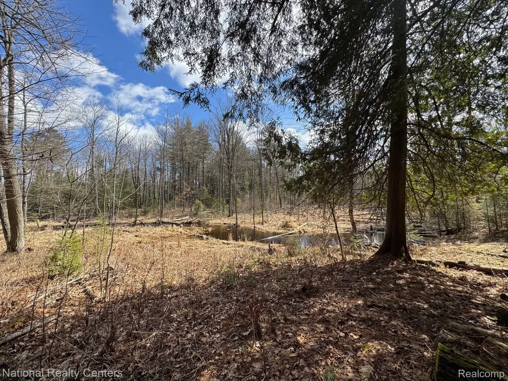 4233 Hardacre Trail Roscommon Township MI 48629