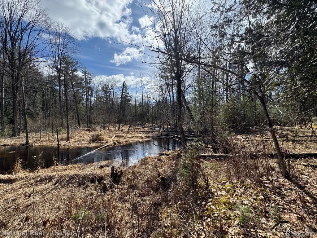 4233 Hardacre Trail Roscommon Township MI 48629