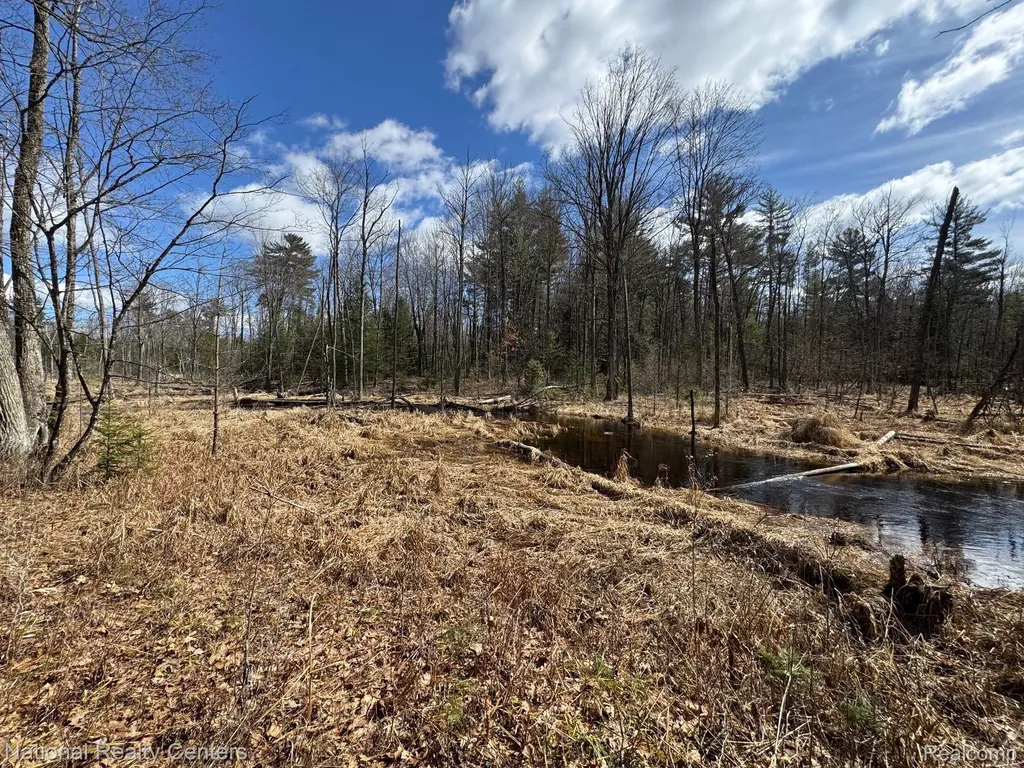 4233 Hardacre Trail Roscommon Township MI 48629