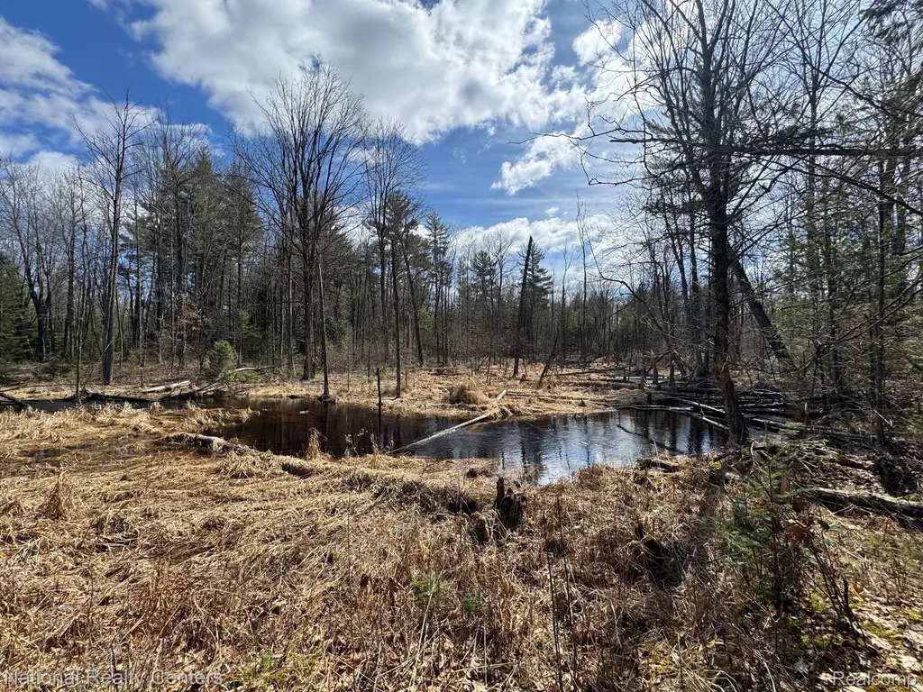 4233 Hardacre Trail Roscommon Township MI 48629
