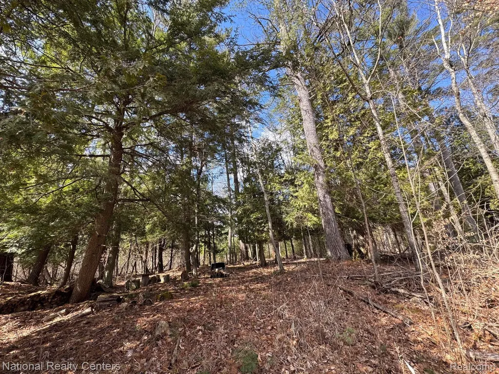 4233 Hardacre Trail Roscommon Township MI 48629
