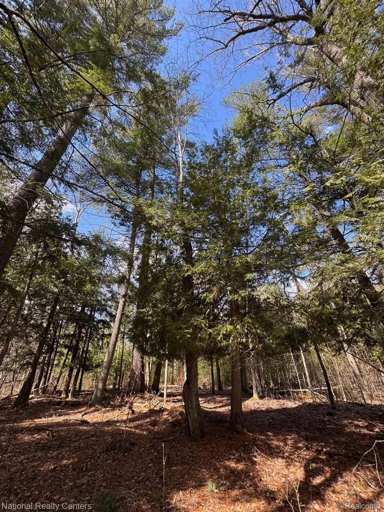 4233 Hardacre Trail Roscommon Township MI 48629
