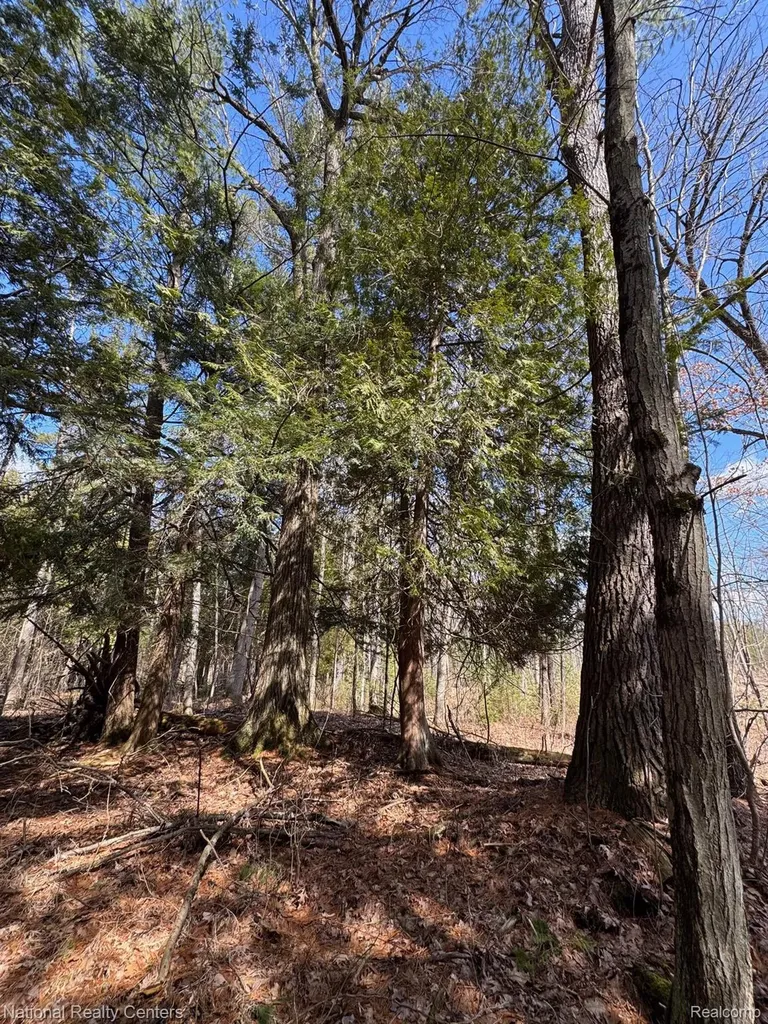 4233 Hardacre Trail Roscommon Township MI 48629