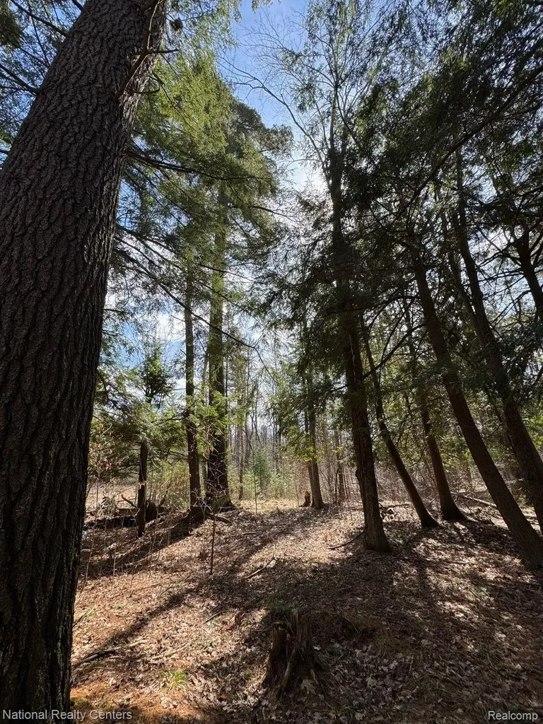 4233 Hardacre Trail Roscommon Township MI 48629