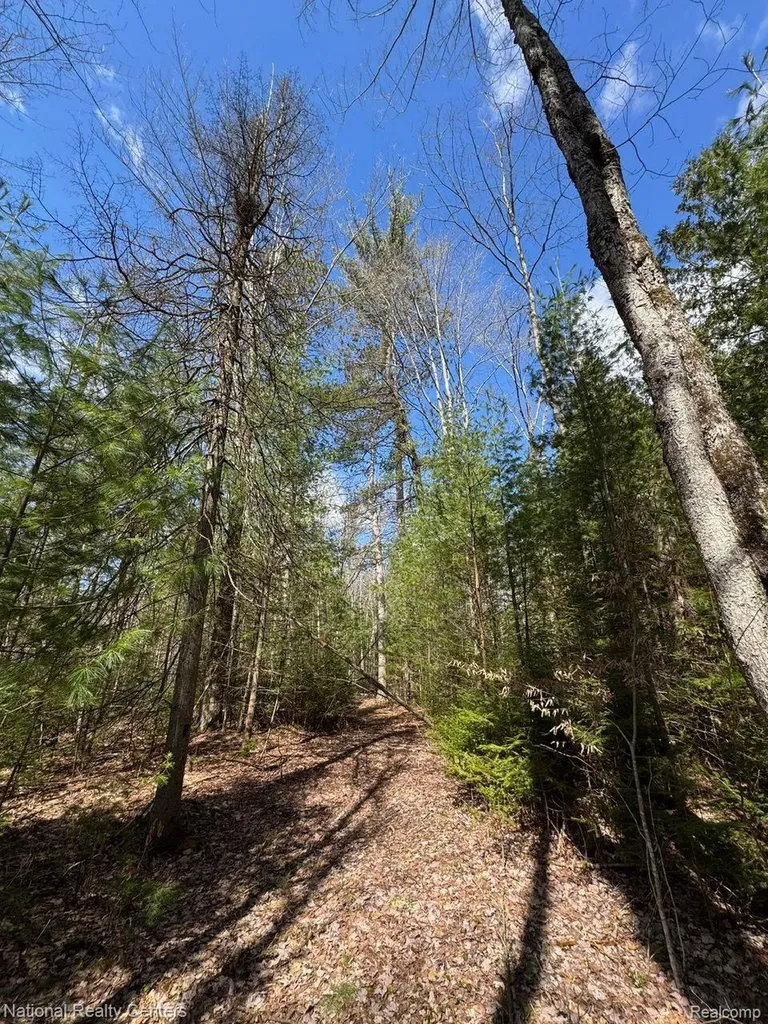 4233 Hardacre Trail Roscommon Township MI 48629