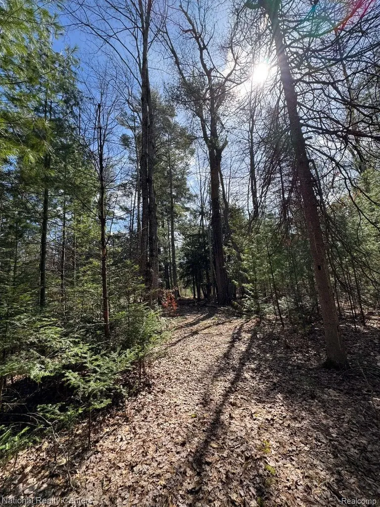 4233 Hardacre Trail Roscommon Township MI 48629