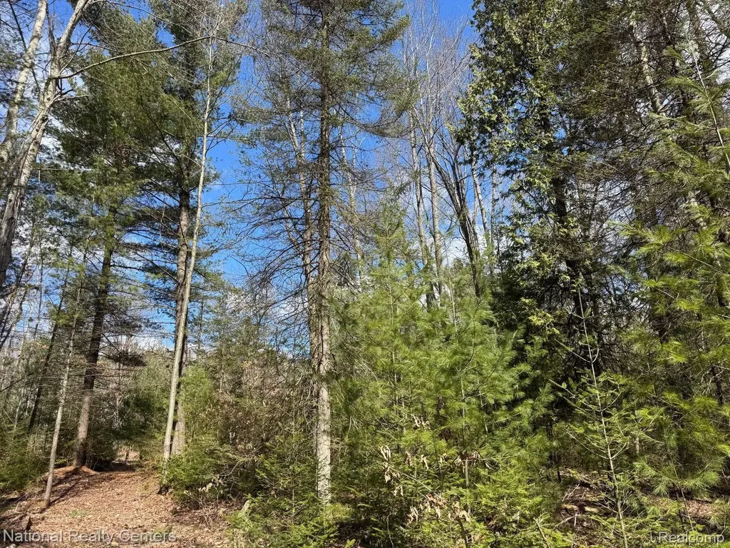 4233 Hardacre Trail Roscommon Township MI 48629