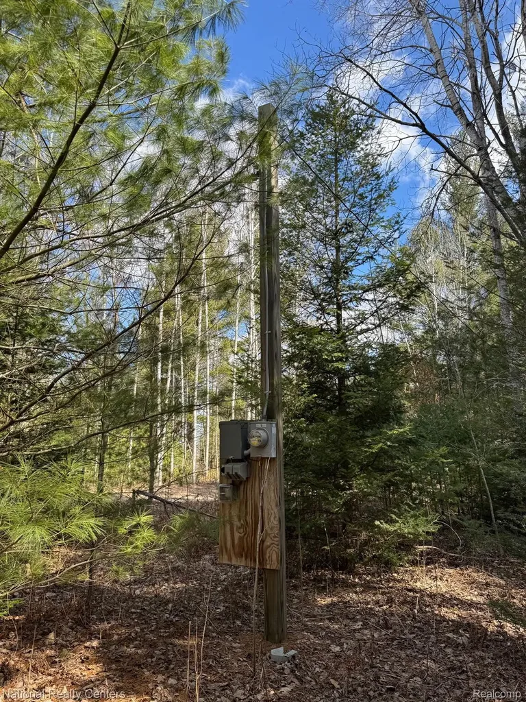 4233 Hardacre Trail Roscommon Township MI 48629