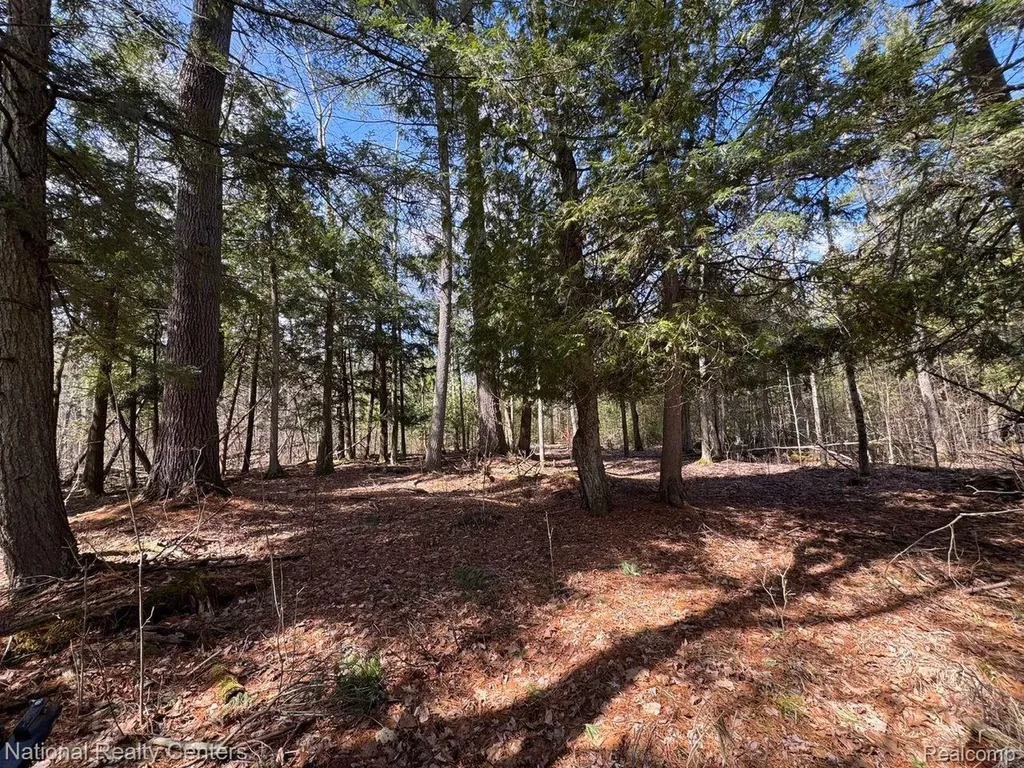 4233 Hardacre Trail Roscommon Township MI 48629