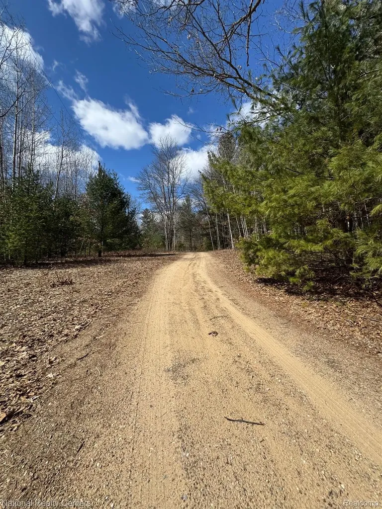 4233 Hardacre Trail Roscommon Township MI 48629