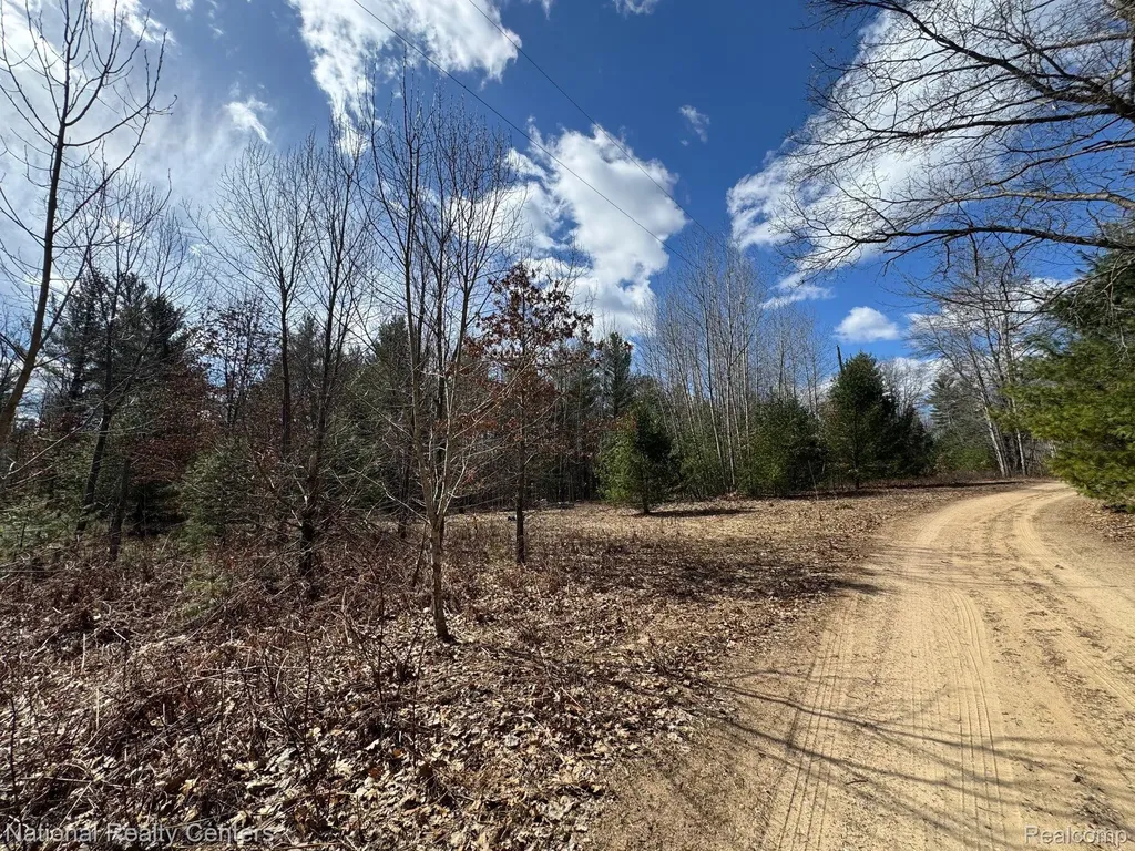 4233 Hardacre Trail Roscommon Township MI 48629