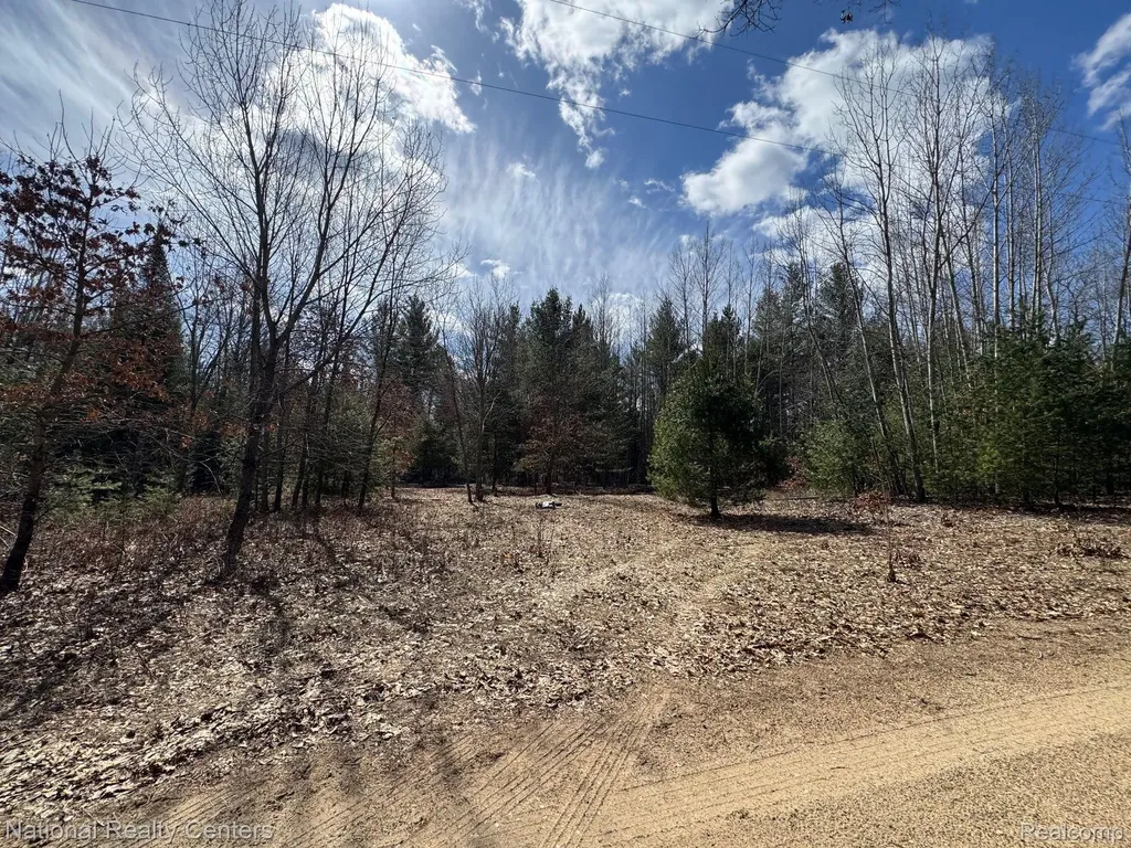 4233 Hardacre Trail Roscommon Township MI 48629