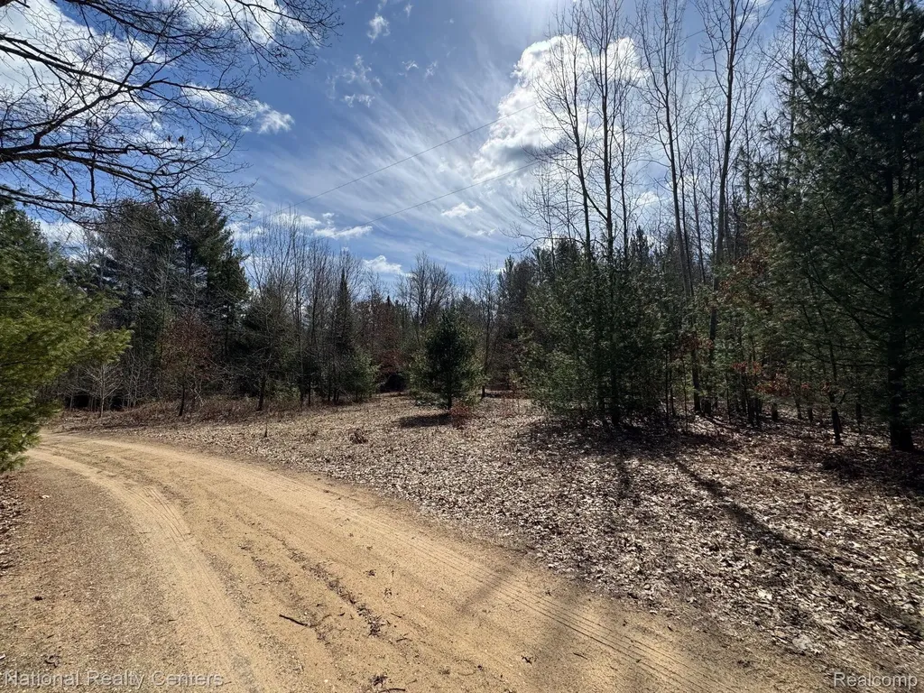 4233 Hardacre Trail Roscommon Township MI 48629