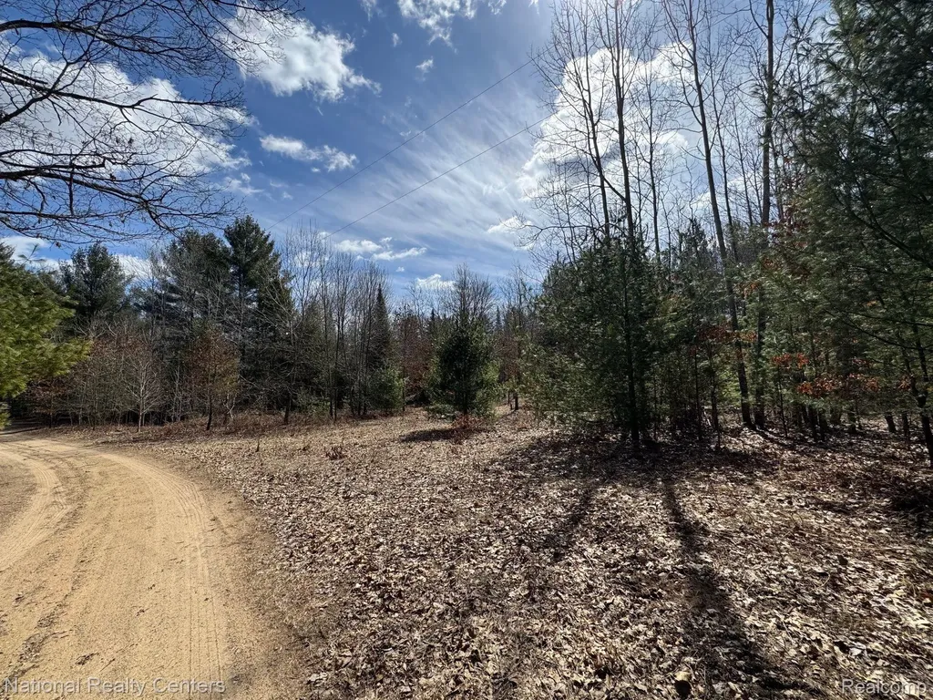 4233 Hardacre Trail Roscommon Township MI 48629