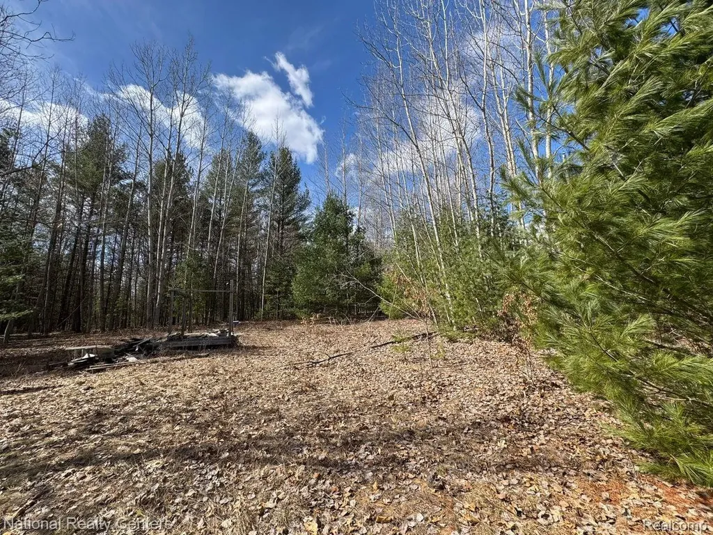 4233 Hardacre Trail Roscommon Township MI 48629