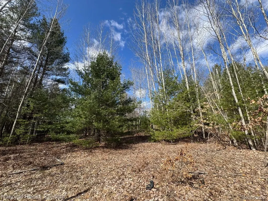 4233 Hardacre Trail Roscommon Township MI 48629